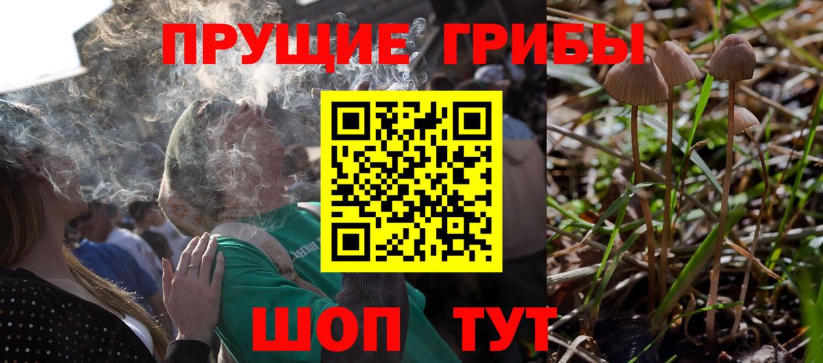 Псилоцибиновые грибы MAGIC MUSHROOMS  Вход с VPN  Алатырь 