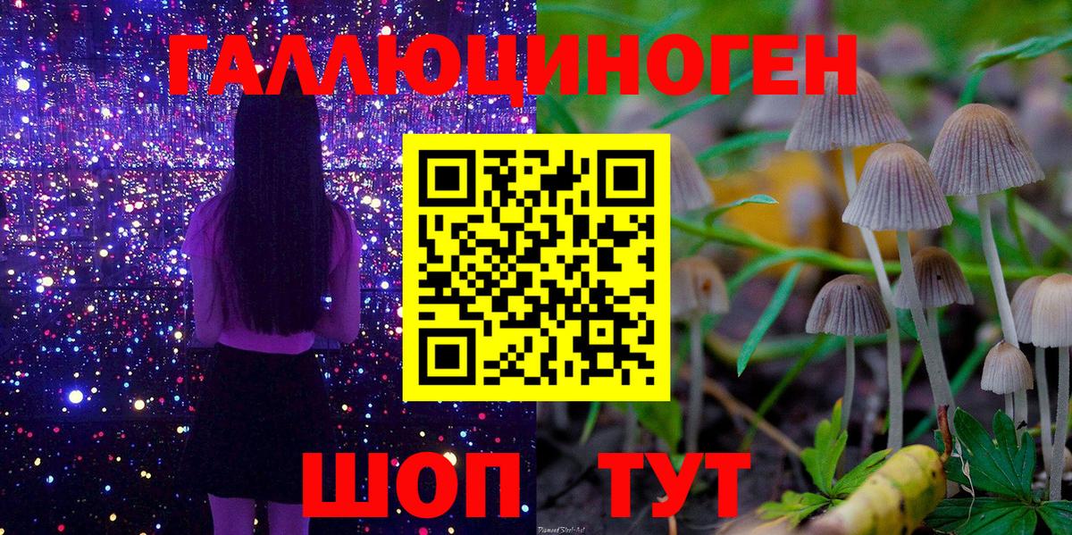 Галлюциногенные грибы мухоморы Алатырь